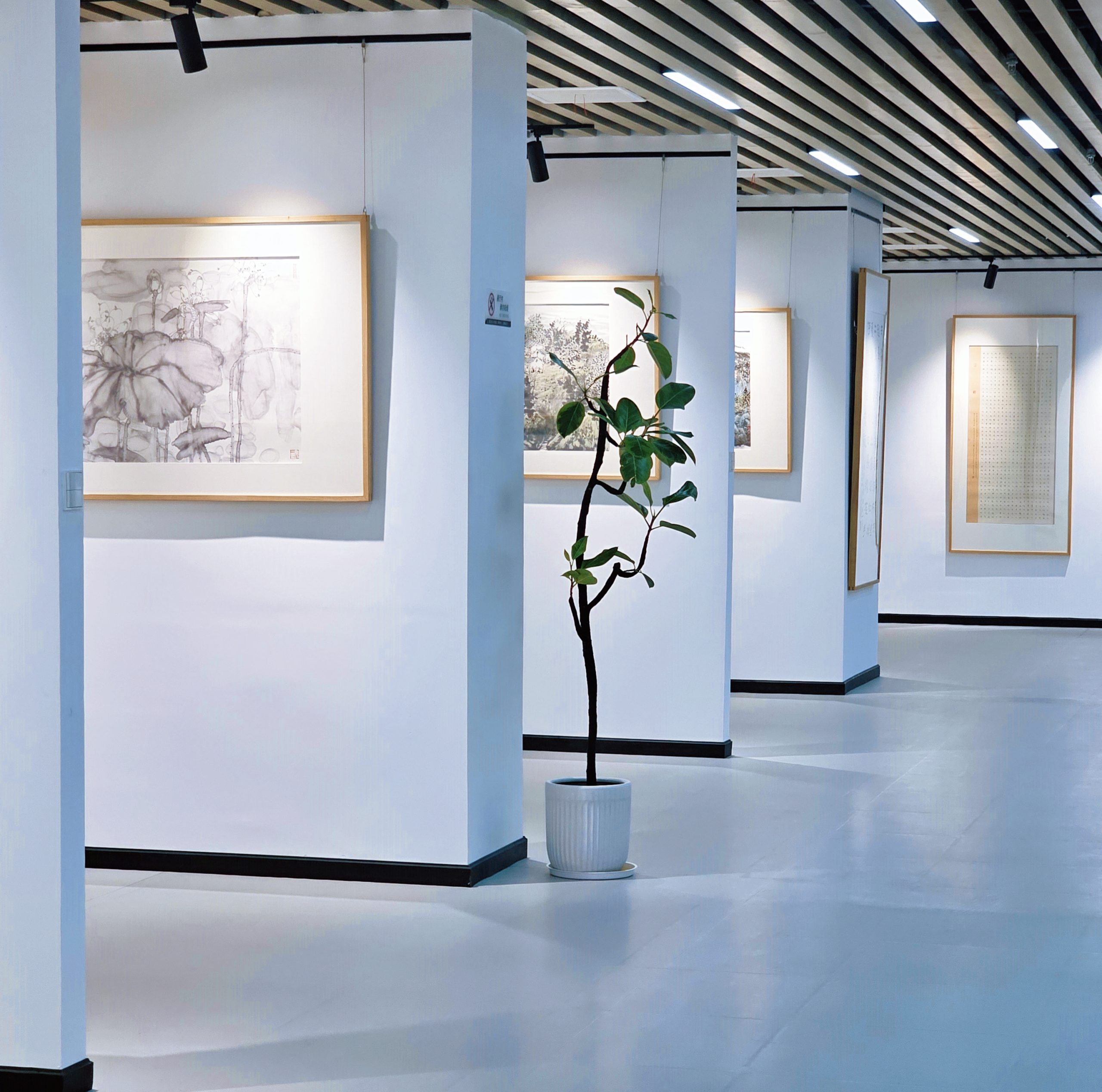 图片[8]-武汉半得书院图片环境展示-52书法博客