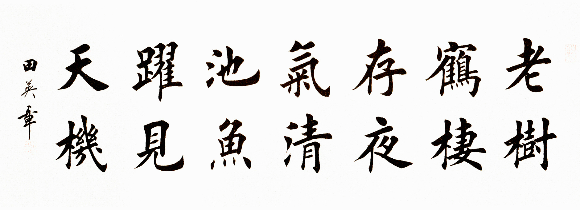 图片[4]-书法楷书14字横幅作品欣赏（以田楷为例）-52书法博客